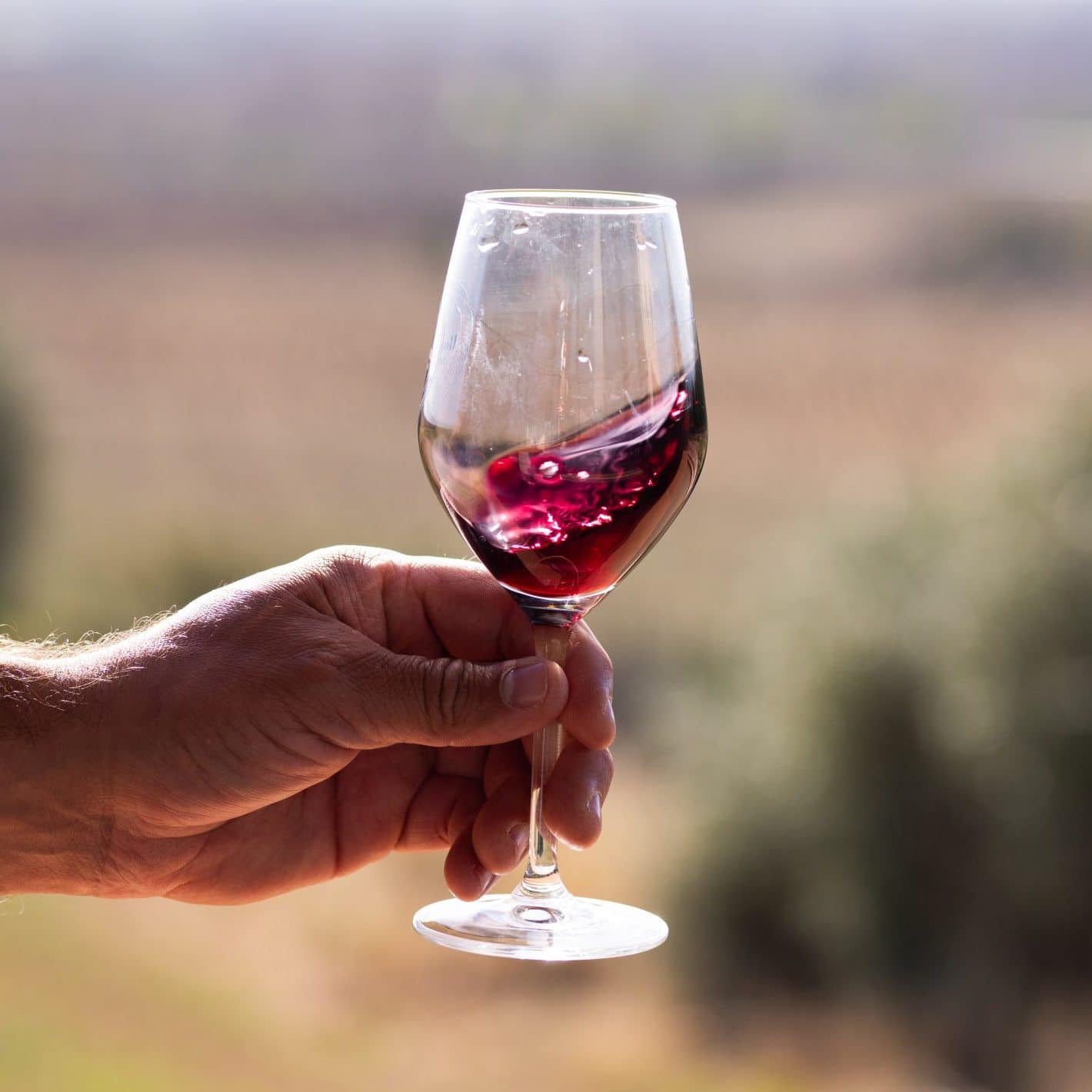 Vin rouge Dégustation de vins du Roussillon avec guide local